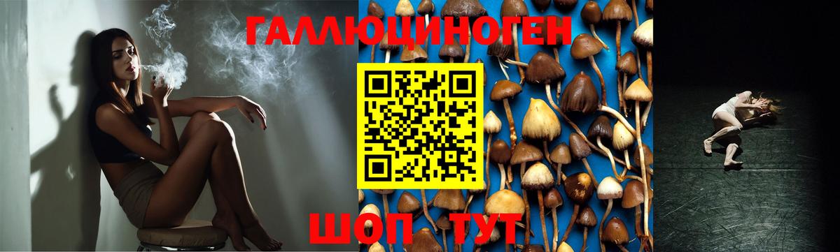Когалым  Галлюциногенные грибы Psilocybe  Галлюциногенные грибы Psilocybe  Вход с VPN 